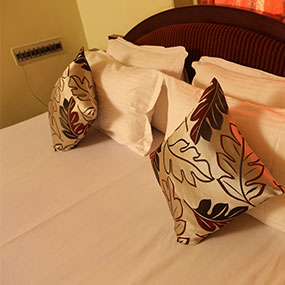 Hotel Mahaveer International