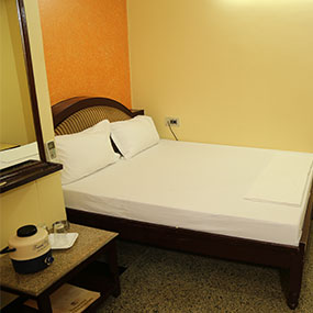 Hotel Mahaveer International